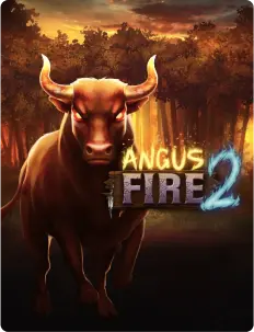 Angus fire 2